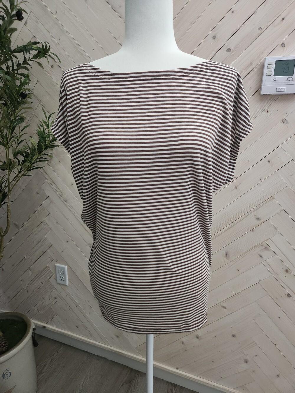 Striped Boatneck Dolman Sleeve Top - Brown & White